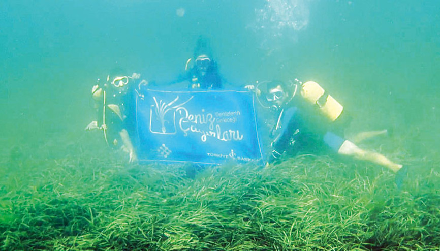 Deniz çayırlarına koruma kalkanı Deniz çayırlarına koruma kalkanı