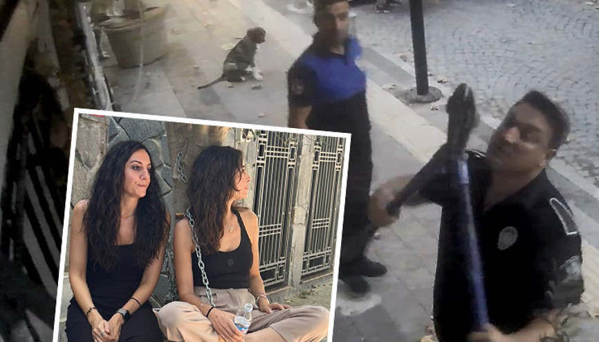 İşletmeci kadın kendini zincirlemişti Belediyeden şafak operasyonu: O zeytin ağaçları kaldırıldı İşletmeci kadın kendini zincirlemişti Belediyeden şafak operasyonu: O zeytin ağaçları kaldırıldı