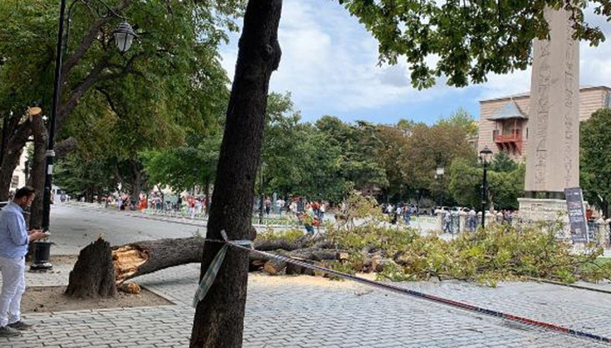 Sultanahmette faciadan dönüldü: Ağaç devrildi, turist grubu son anda kurtuldu