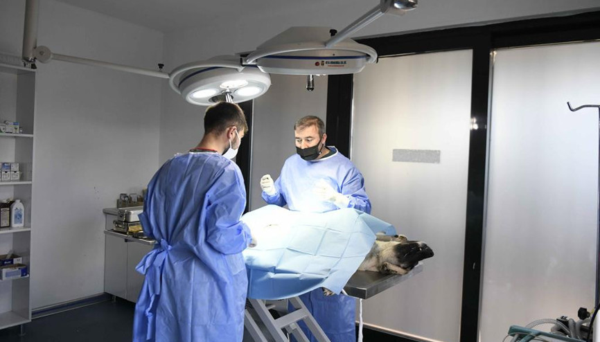 AK Partili Fatih Ünal: ‘ABB’nin kısırlaştırma projesi maalesef hüsranla sonuçlandı’