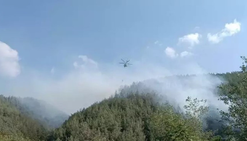 Osmaniyenin Düziçi ilçesinde orman yangını