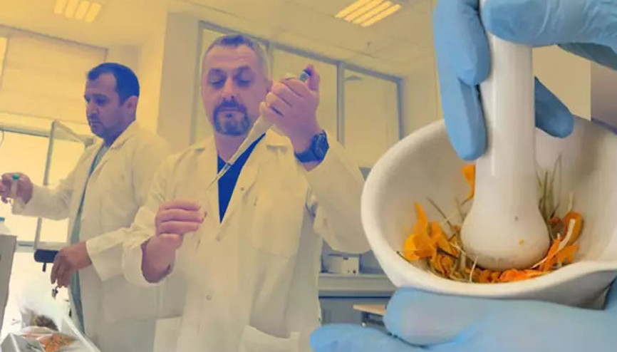 1800’lü yıllardan itibaren yapılan ilk bilimsel çalışma: Çiğdem çiçeğinin şifa dolu sırları ortaya çıktı