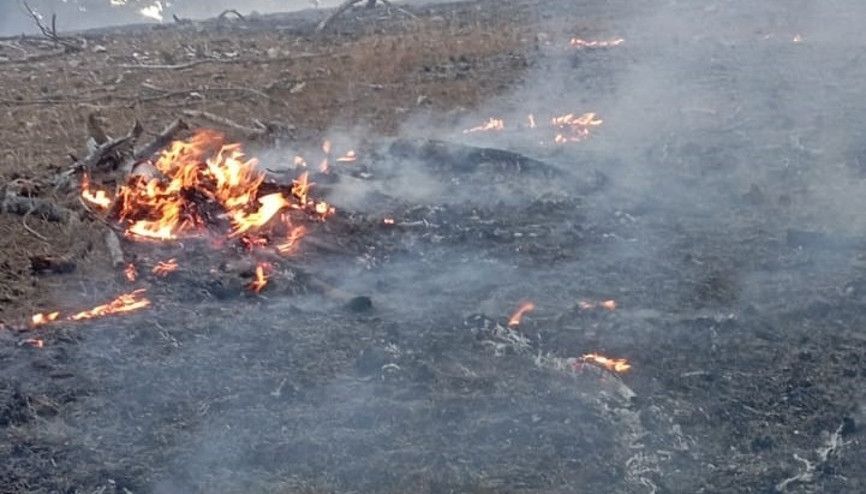 Adana Fekede orman yangını Ekipler müdahale ediyor