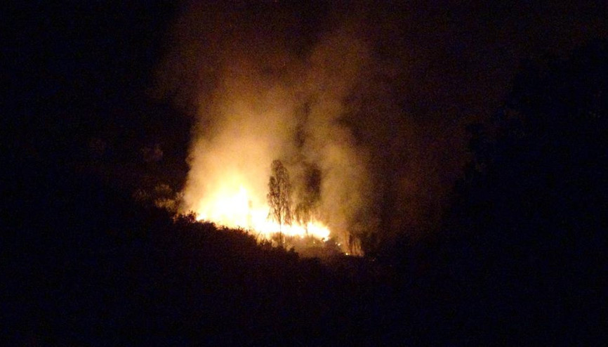 Hatay’da zeytinlik alanda yangın Hatay’da zeytinlik alanda yangın
