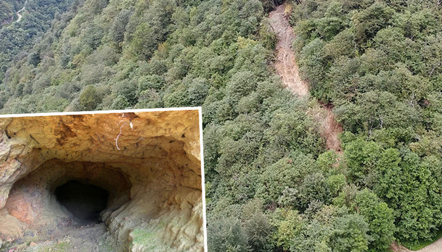 Trabzonda define için ormana iş makinesiyle yol açtılar