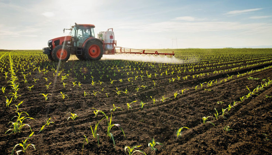 Gübrede grev etkisi fiyatlara yansıyor Gübrede grev etkisi fiyatlara yansıyor