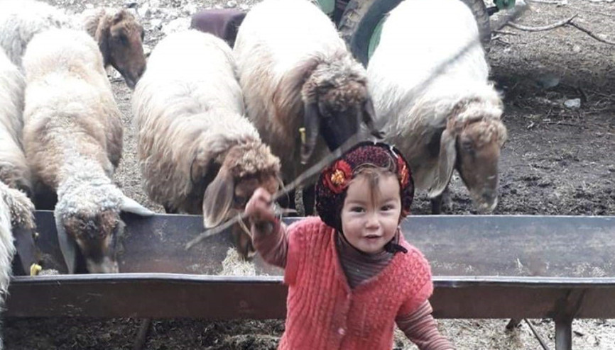 Türkiyede infial yaratmıştı Müslüme Yağal cinayetinde yeni gelişme: Cumhuriyet savcısının mütalaası beklenecek Türkiyede infial yaratmıştı Müslüme Yağal cinayetinde yeni gelişme: Cumhuriyet savcısının mütalaası beklenecek