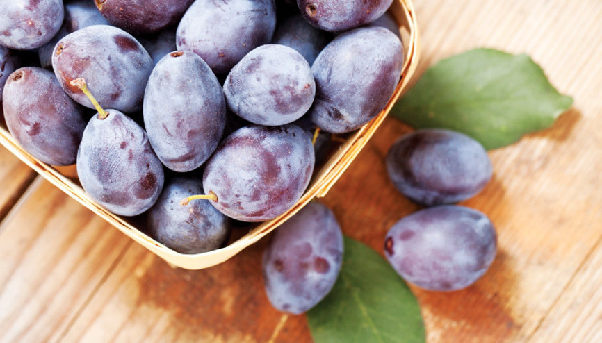 ‘İlk önce zerdali çiçek açar, mürdüm en sonra’