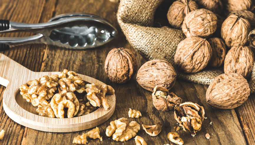 Gerçek bir şifa deposu