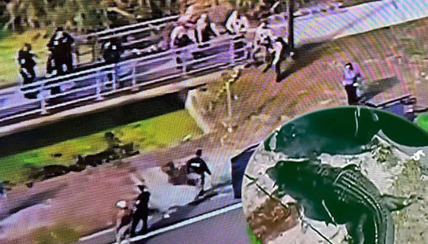 Devasa timsah ağzında cansız bir adamın bedeni ile Florida sokaklarında gezdi