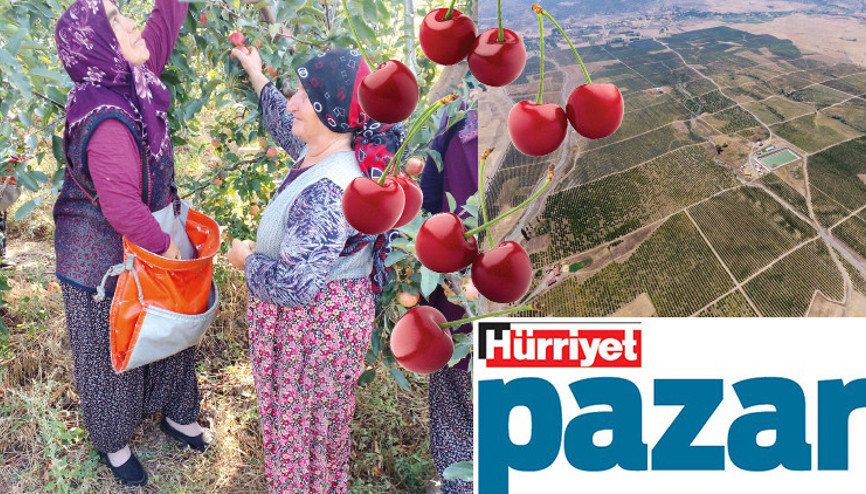 Örnek proje köyden kente göçü tersine çevirdi