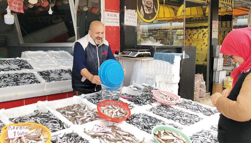 Rizede hamsi bereketi moral oldu