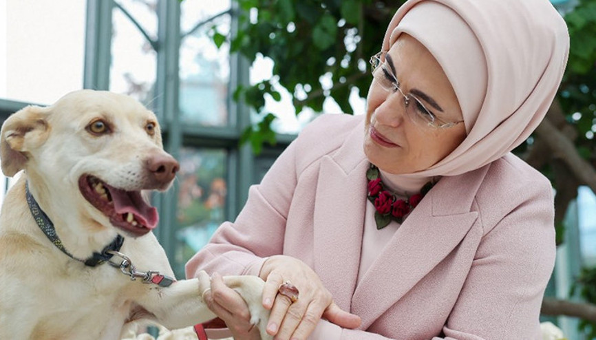 Emine Erdoğan: Hayvanları korumak da öncelikli vicdani yükümlülüğümüzdür