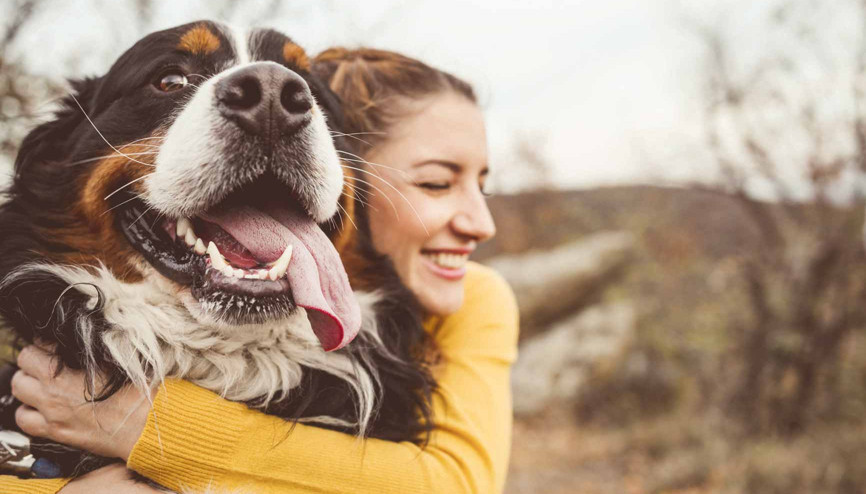 Veterinerlerden dünya hayvanları koruma günü çağrısı: Büyük küçük hepsini sevin