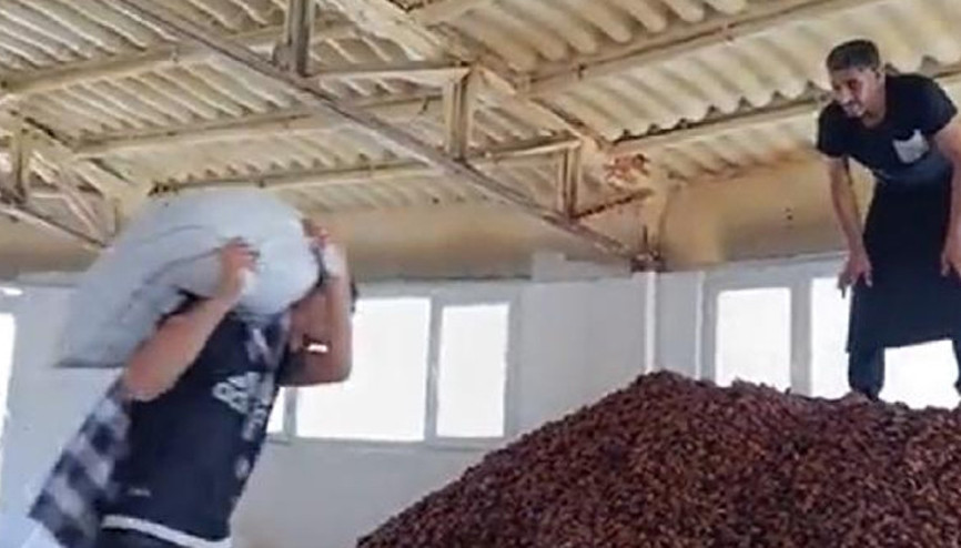 Ayakkabıyla kayısılara basmıştı Tepki çeken görüntülere ceza