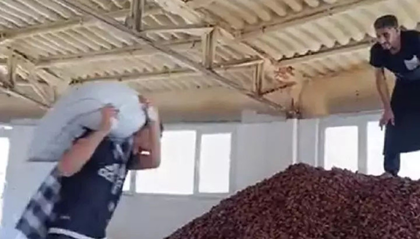 Ayakkabıyla kayısılara basmıştı Tepki çeken görüntülere ceza
