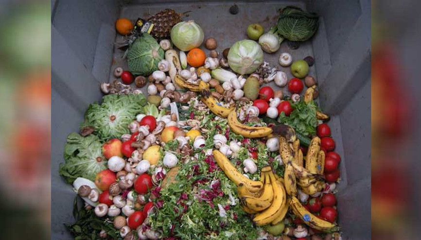 Çöpe atılan ekmeklerle her yıl 500 okul yapılabilir