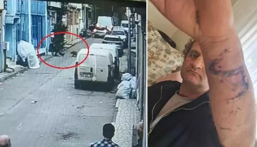 Pitbull ile saldırı davasında şaşkına çeviren savunma: Bizde köpeğe dokunmak günah Pitbull ile saldırı davasında şaşkına çeviren savunma: Bizde köpeğe dokunmak günah