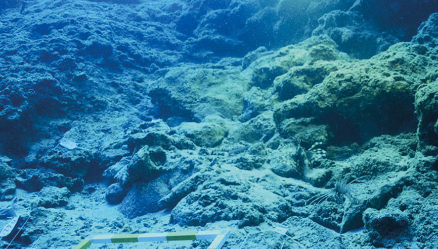 3 bin 600 yıllık 30 bakır külçe