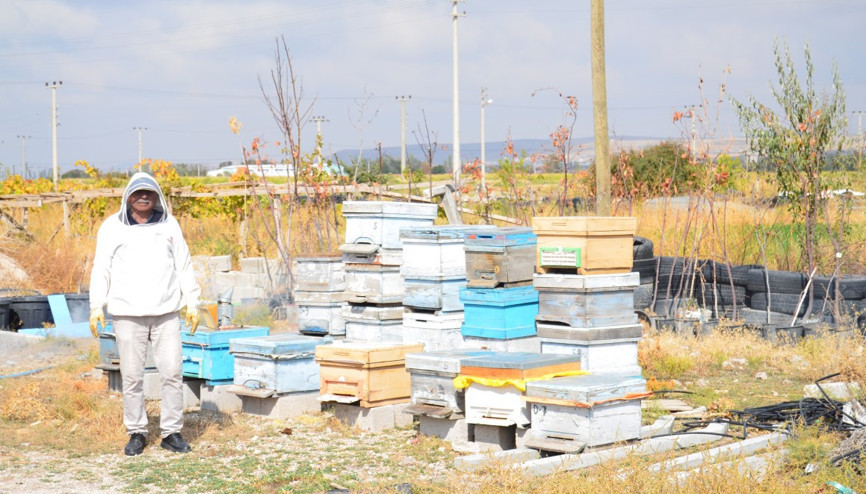 Yakalanınca çaldığı arı kovanlarını geri getirdi Yakalanınca çaldığı arı kovanlarını geri getirdi