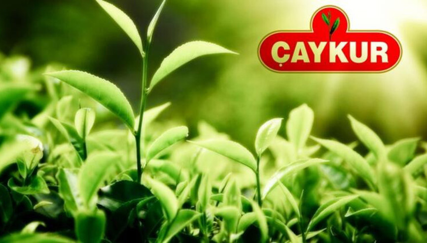 Çaykur çay destekleme ödemeleri ne zaman yatacak Bakan Yumaklı Kasım 2023 çay destekleme ödeme açıklaması