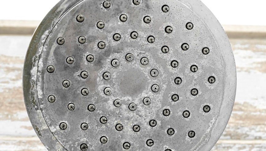 Duş başlığımız bizi hasta edebilir mi Suyu birkaç dakika akıtın, duş kabininin kapısını ya da perdeyi aralık bırakın Duş başlığımız bizi hasta edebilir mi Suyu birkaç dakika akıtın, duş kabininin kapısını ya da perdeyi aralık bırakın