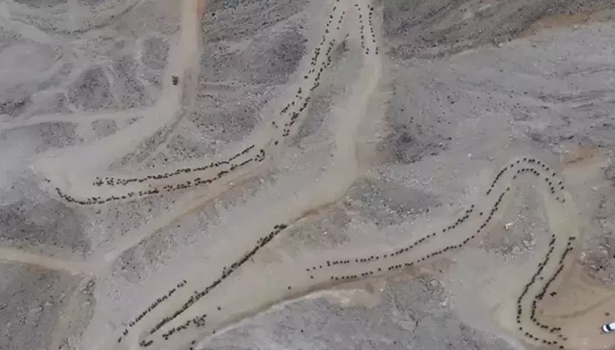 Komandolardan 100üncü yıl tırmanışı