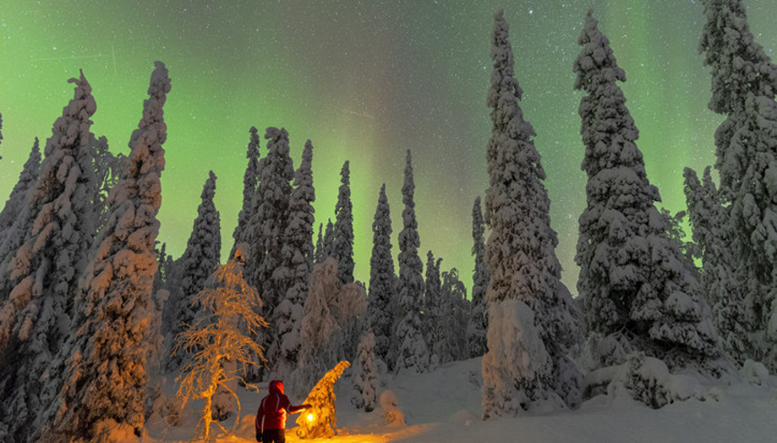 Kuzey ışıkları nedir, nerede ve nasıl oluşur Kuzey ışıkları neden olur, etkileri neler