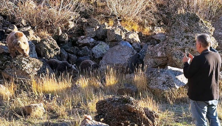 Kendilerini ve çocuklarını tehlikeye atan vatandaşlar ayıları böyle besledi