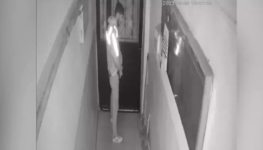 Kuryenin görüntüsü şaşkına çevirdi: Apartmana idrarını yaptı