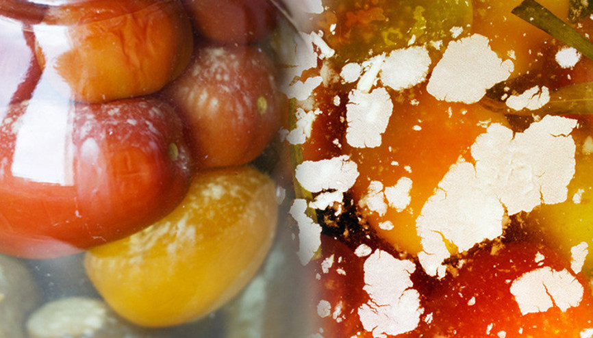 Evde turşu kurarken bunu sakın yapmayın Meğer üstündeki beyaz tabaka bu yüzden oluyormuş