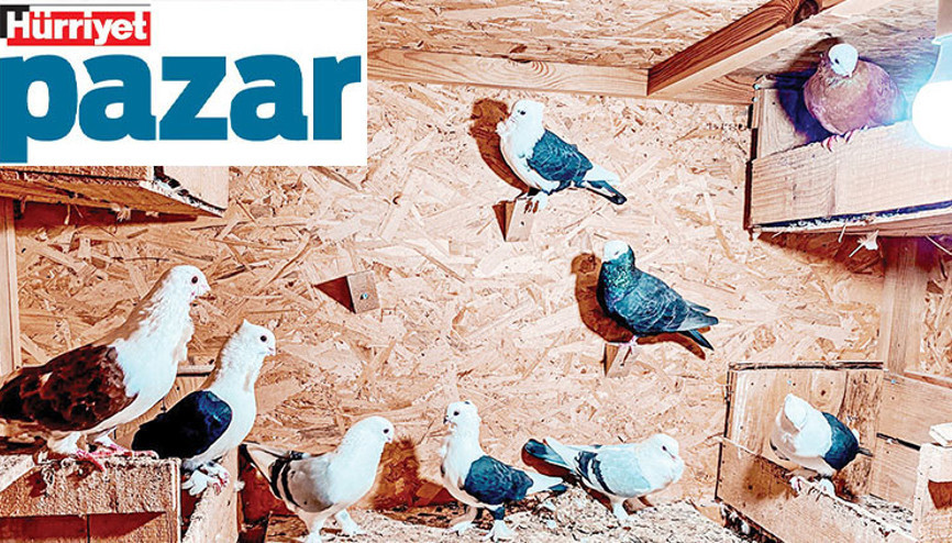 Bir iyilik hikâyesi