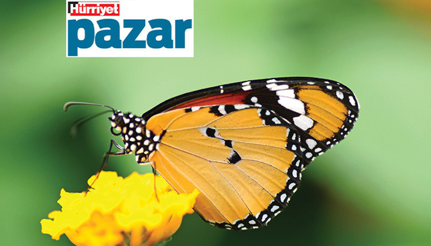 Tehlike tahminlerin ötesinde