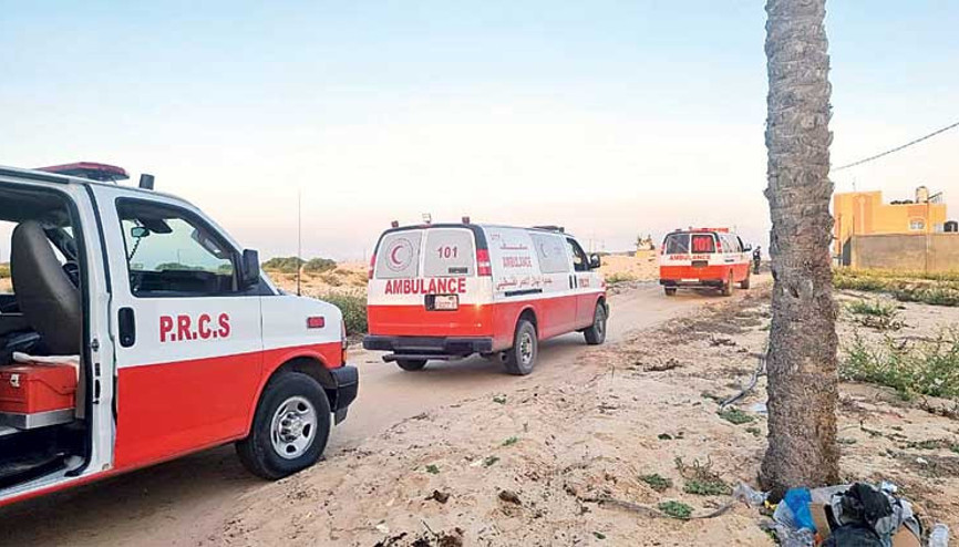 Şifa’nın bebekleri tahliye edildi