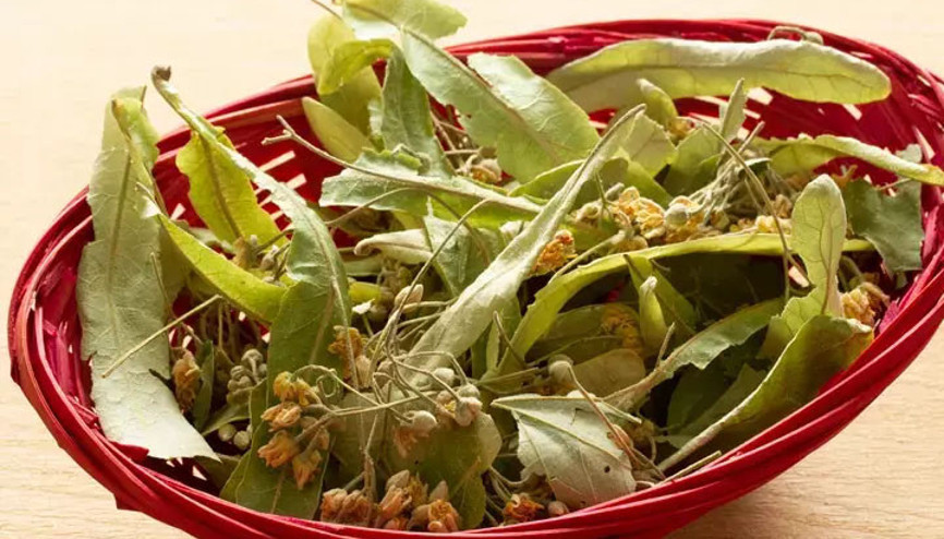 Ihlamur fiyatları yüksek seyrediyor