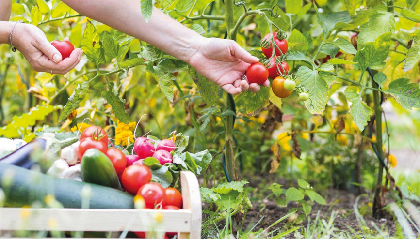 Çevreciler yönetmeliğin iptalini istedi... Çevreciler yönetmeliğin iptalini istedi
