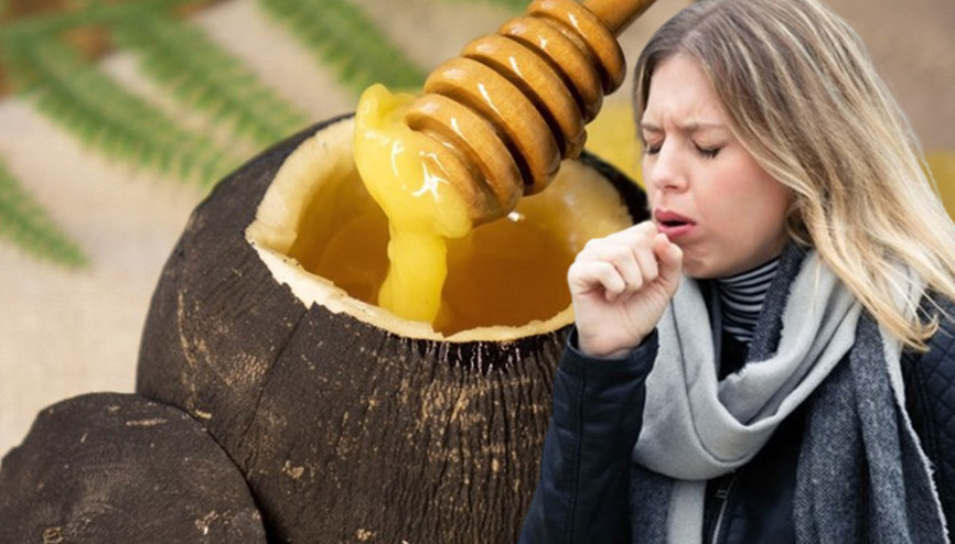 Babaanne karışımı öksürük kürü Bal ile karıştırınca 3 gecede balgamı söküyor...