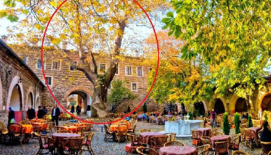 250 yıllık çınar fırtınada kökünden söküldü... Tarihi handa hasar oluştu... 600den fazla ihbar 250 yıllık çınar fırtınada kökünden söküldü... Tarihi handa hasar oluştu... 600den fazla ihbar