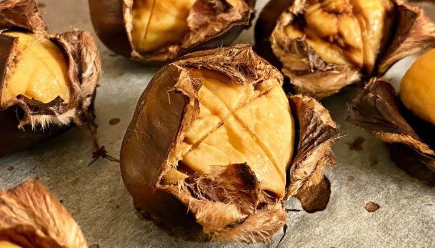 Kabuklarını çöpe atıyorsunuz ama... Kelliğe karşı saç ektirme etkisi yaratıyor Kabuklarını çöpe atıyorsunuz ama... Kelliğe karşı saç ektirme etkisi yaratıyor