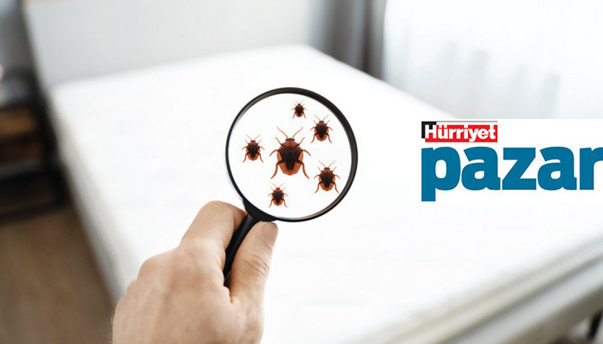 İnsanlığın böceklerle imtihanı başladı