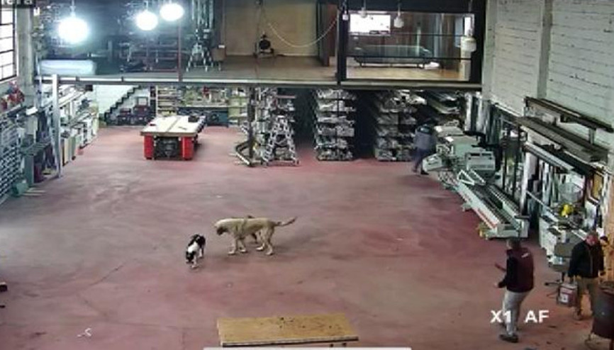 Isınmak için sobaya tiner döktü, ağır yaralandı