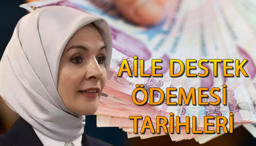 ARALIK AYI AİLE DESTEK ÖDEMESİ SORGULAMA e-Devlet 📌 || Yılın son aile destek ödemeleri yattı mı, nasıl sorgulanır e-Devlet Aile Destek Ödemesi sorgulama ekranı