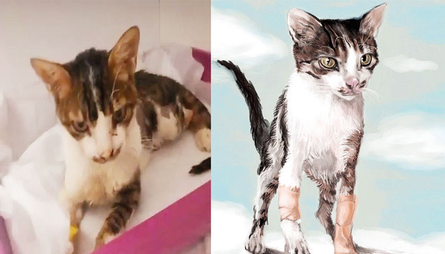 Yağlı boya patiler... Sokaklardan modelliğe