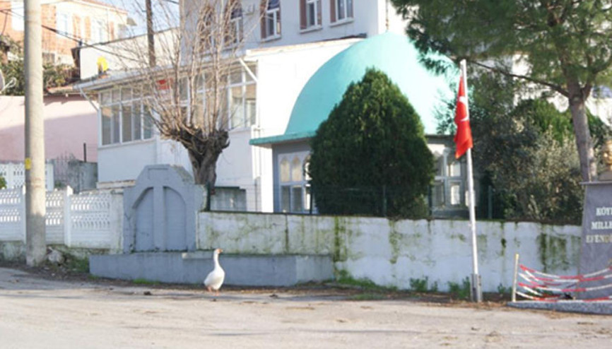 Ezan okununca bu kaz camiye gidiyor