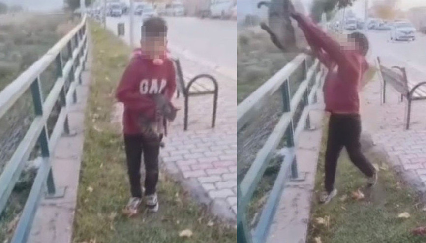 TikTokta paylaşmak için kediyi ırmağa attılar 2 kişi gözaltında
