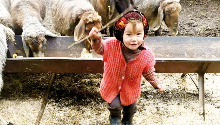 Müslüme’nin katili bulunamadı