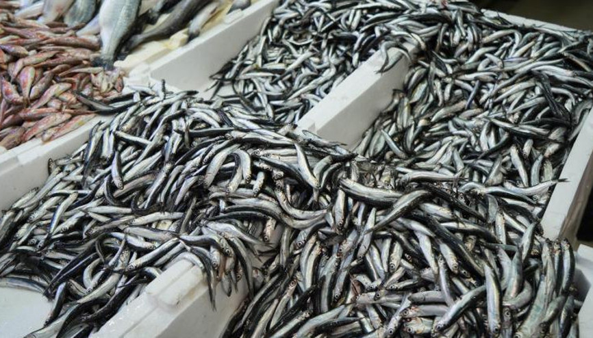 Yeni yılda vatandaşlardan hamsiye yoğun ilgi