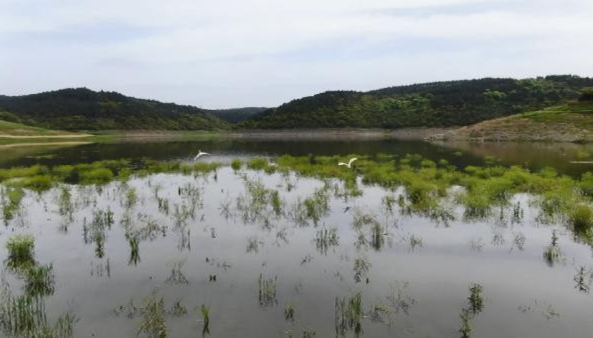 İSTANBUL BARAJ DOLULUK ORANI SON DURUM (GÜNCEL): Alibeyköy, Elmalı, Sazlıdere... İşte barajlarda yapılan son ölçümler