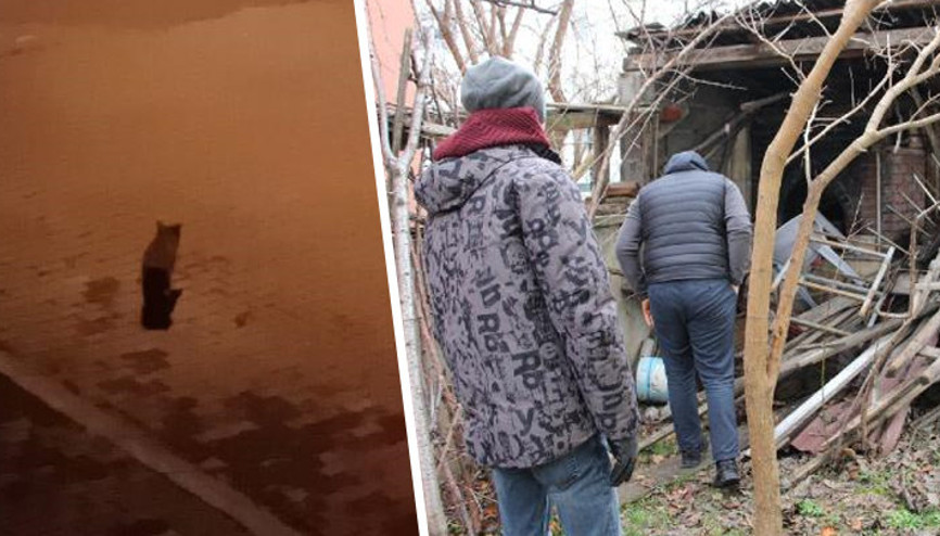 Boluda vaşak alarmı... Mahallede kedi avlayan vaşağın yakalanması için 6 kapan kuruldu Boluda vaşak alarmı... Mahallede kedi avlayan vaşağın yakalanması için 6 kapan kuruldu