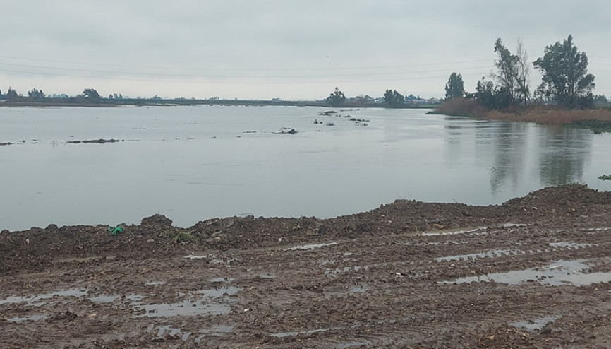 Hatayda sağanak: Asi Nehri taştı Tarım arazileri su altında...